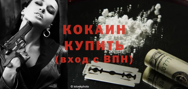стаф Медногорск