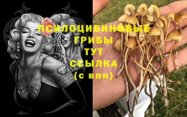 мдпв Михайловск