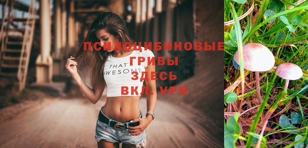 дживик Кущёвская