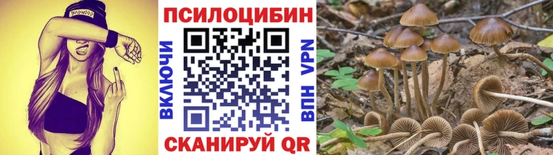 Псилоцибиновые грибы GOLDEN TEACHER  Валдай 